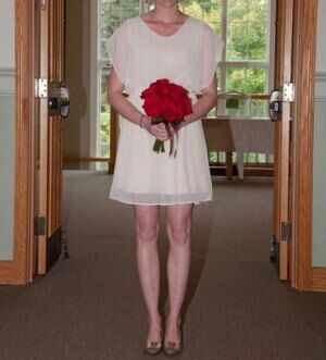 Francesca's Light Pink Dress Size Medium Sheer Sparkle Shimmer